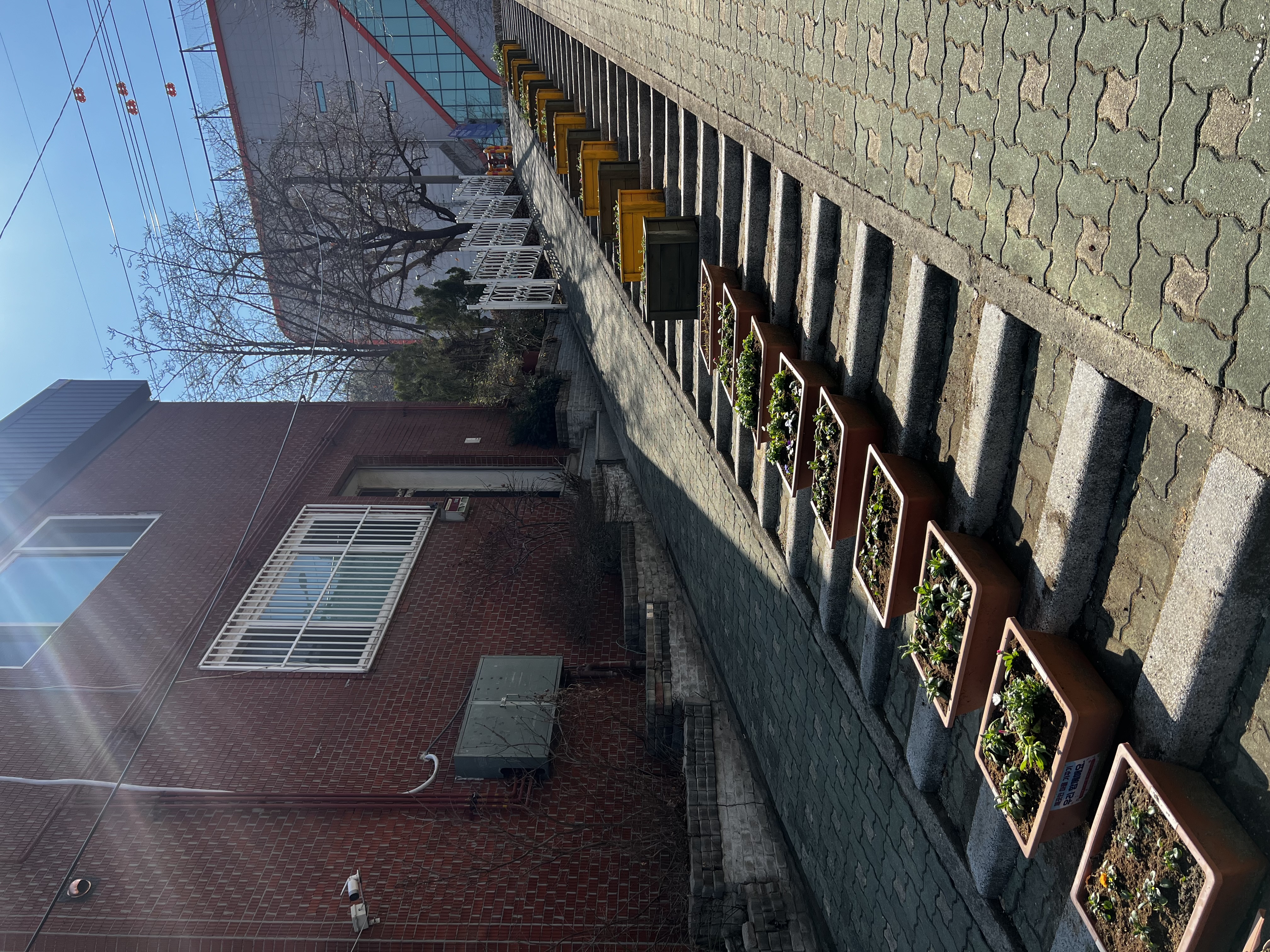 봄철 도시녹화 사업.jpeg