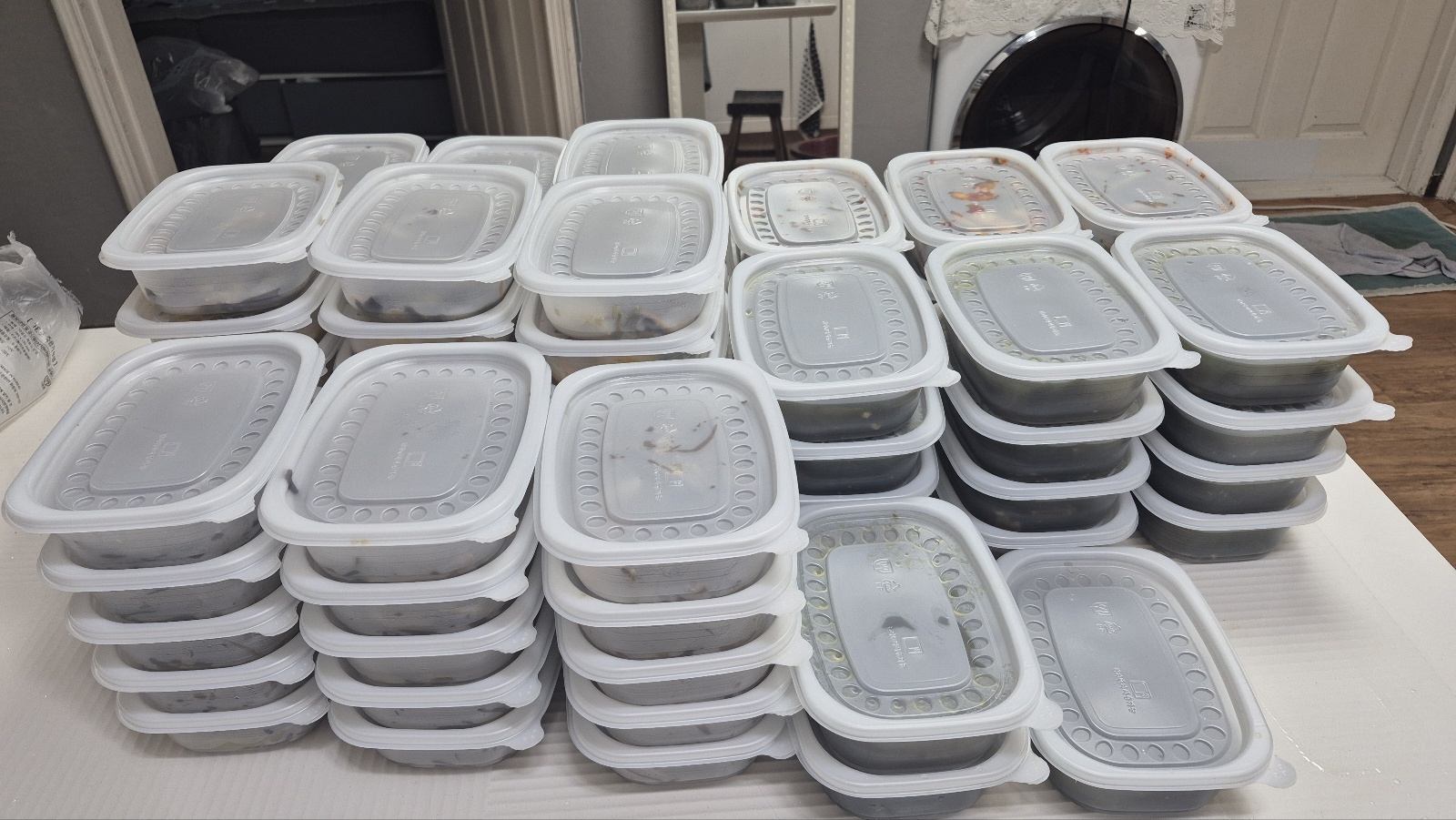 후원사진.jpg